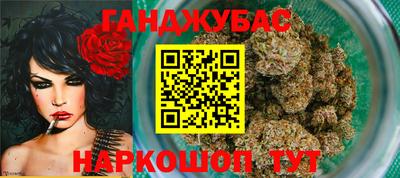 гашик Донской