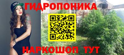 гашик Донской