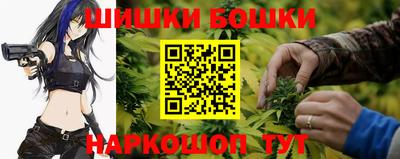гашик Донской