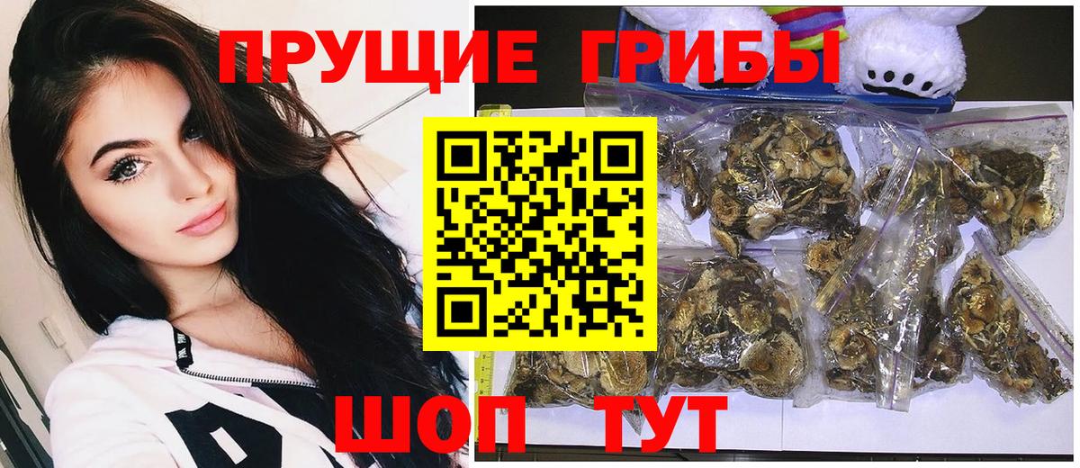 Псилоцибиновые грибы Psilocybine cubensis Мариинск