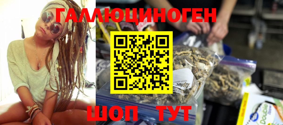 Псилоцибиновые грибы Magic Shrooms  Вход с VPN  Псилоцибиновые грибы GOLDEN TEACHER  Мариинск 